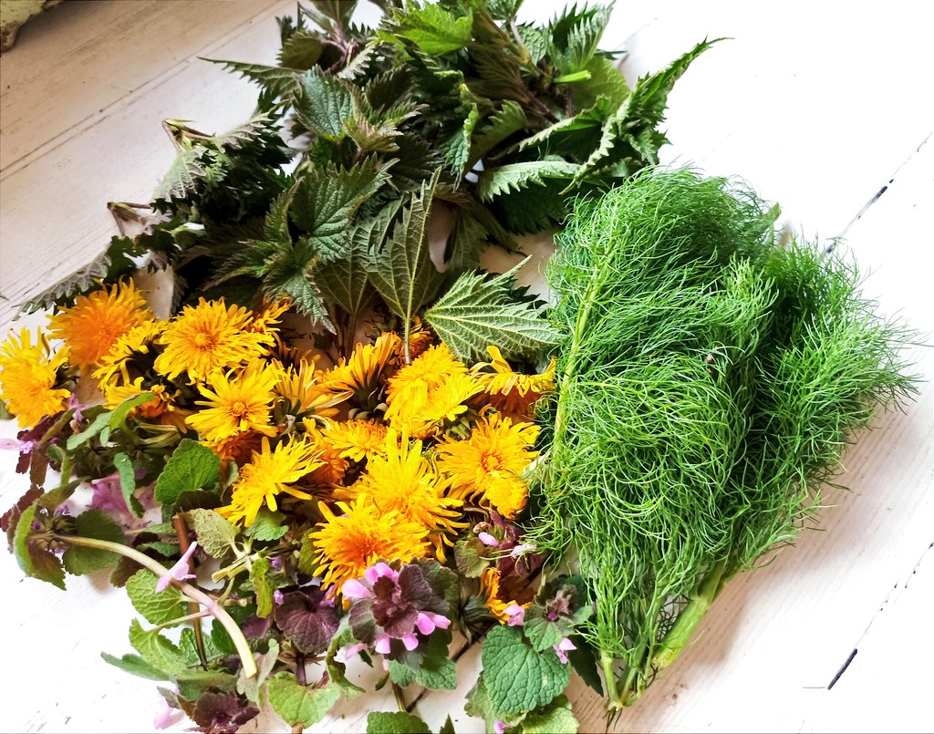 Quick forage in the boatyard to make my next medicinal tea blend!

Nettles - Inhibits oxidative stress
Dandelion flowers - Helps the kidney filter toxins
Dead nettles - Anti-inflammatory
Fennel - High antioxidant

Will dry these out and combine for a lovely tasting tea blend.