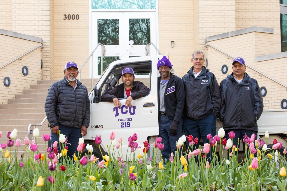 TCU's tweet photo. We had another incredible tulip season thanks to the hard work of TCU Facilities' workers. This year they planted approximately 20,000 tulip bulbs across campus! Join us in saying thank you to the people who help make this campus so beautiful! #TCUtulips π·ππ· https://t.co/SPgorRxENZ