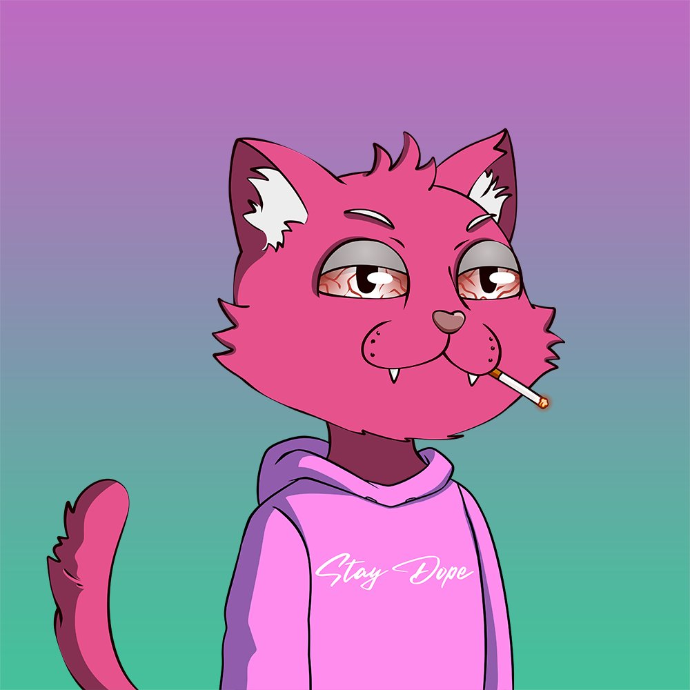 frodocrypto's tweet photo. @Zuni_710 @Dope_Cats pinks are cool https://t.co/45Sn6nb1ic
