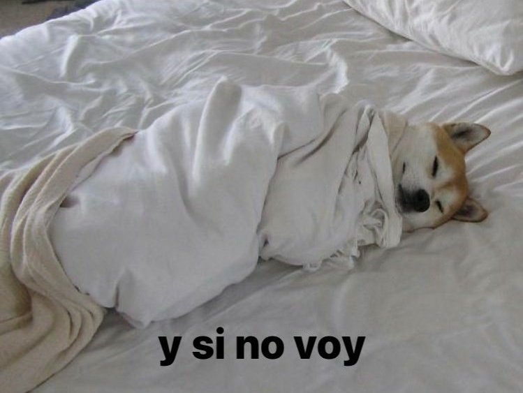Mood: