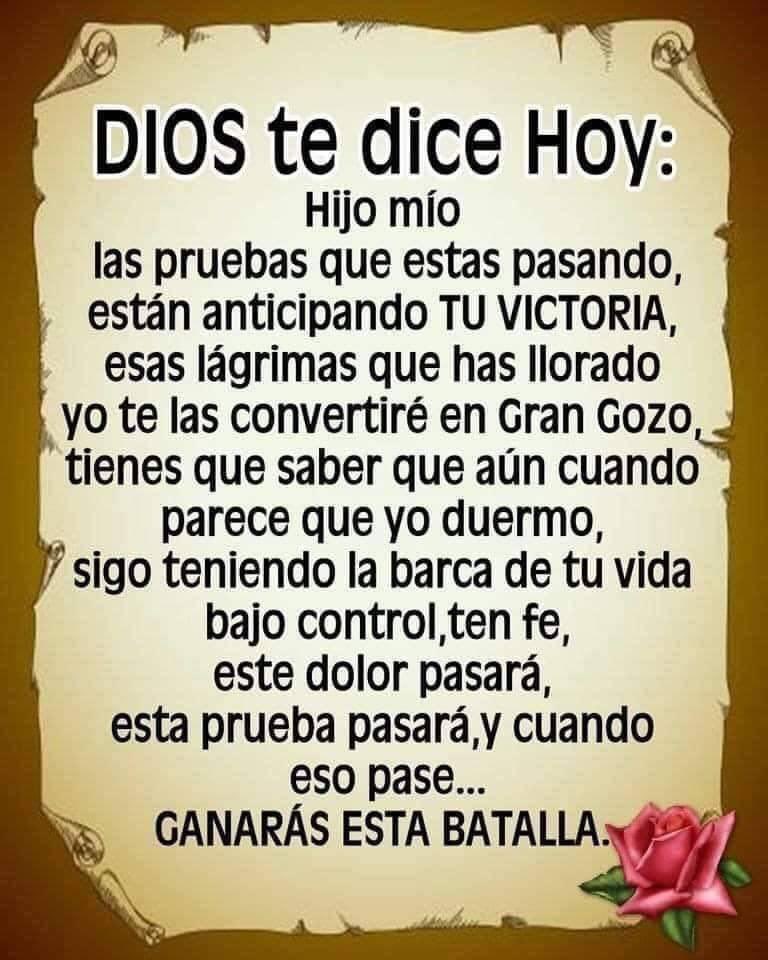 lc_gracie's tweet photo. Que tengan un maravilloso y bendecido día mi gente linda!!!🙌🙌☕️🌺🥰
Dios los bendiga hoy y siempre,besos y abrazos.🤗❤️ https://t.co/jxUQVq0yOj