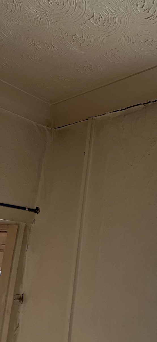 RolandeJonathan's tweet photo. Because you’re not allowed to peel the wallpaper back pre-purchase I bought this beauty in Hants. £12k later and job still growing 🙄#property #propertyproblems https://t.co/ZkcCNRW6ch
