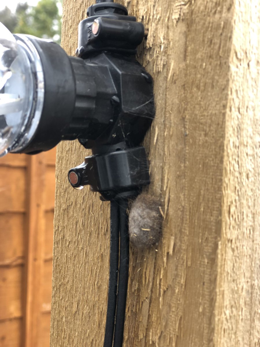 Sam Taylor-Hunt tweet media