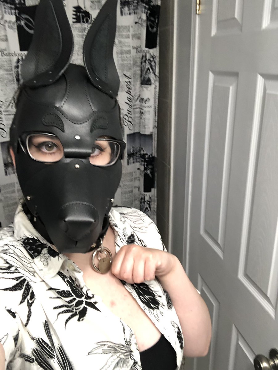 Pup_Venus's tweet photo. I’m debating selling my Tavaron leather hood. It’s GORGEOUS, I just prefer my neoprene one so barely wear it 

I’d be looking for around $200 CAD +ship for it https://t.co/oqKXGe0kp1