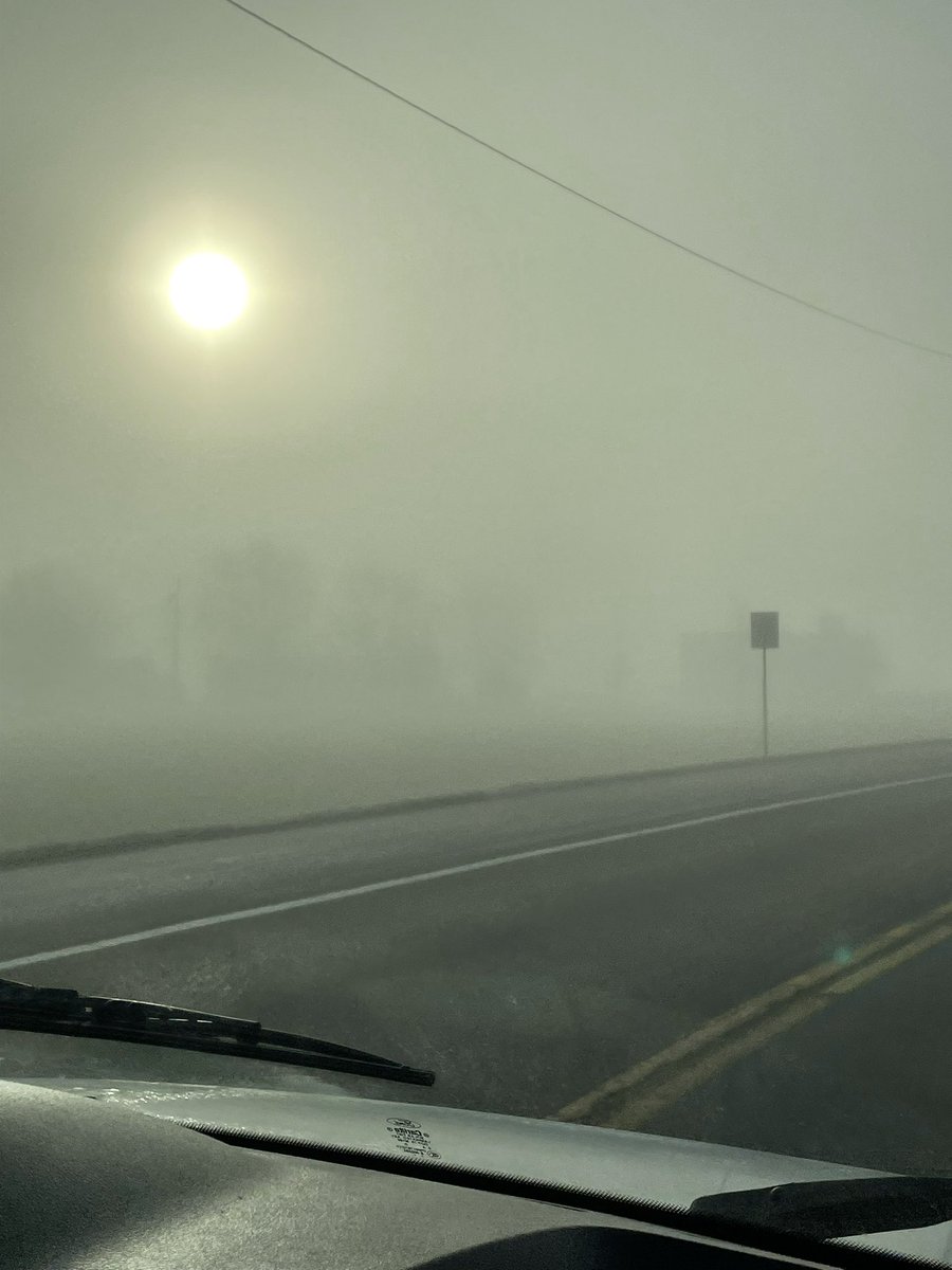 BulldogsBoss's tweet image. Well.well..well..the fog got the best of us today. DCS are closed today..