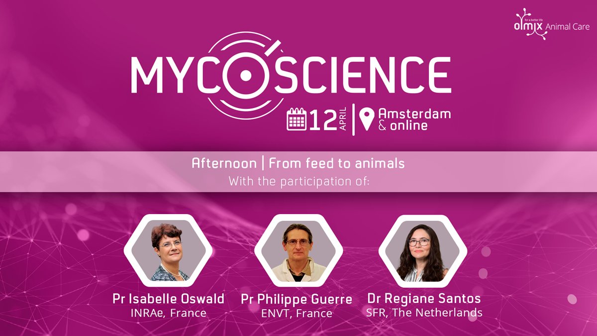 olmixgroup's tweet photo. [🔴]The #MycoScience international congress is still on!

📋Second session: From feed to animals.
👇Our conferences: https://t.co/jkgyeeHRqK
