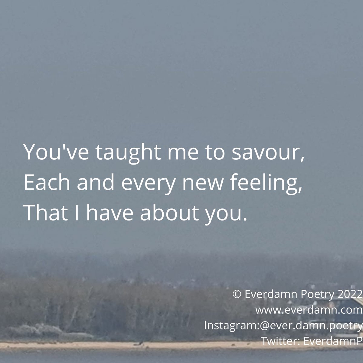 EverdamnP's tweet photo. © Everdamn Poetry 2022
https://t.co/2ZqAMb2cp9
Insta:@ever.damn.poetry

#inspiringwriters #poem #poets #poetry  #writerscommunity #writingcommunity #authors  #fellowshipofauthors2 #poetrycommunity #words #poets_community #love #arts #streetwriters_ https://t.co/OODRDYi30b