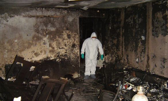 KatastropheMas_'s tweet photo. Are you afraid that you may have mold issues? Our Mold Remediation in #LongIsland, NY makes use of disinfection tools that will help repair &amp; return your house or company to normal.

Get the best fire &amp; smoke #DamageMitigation services in Holbrook, MA. https://t.co/Ezg7iXDY9K https://t.co/LmHbC7GvPM