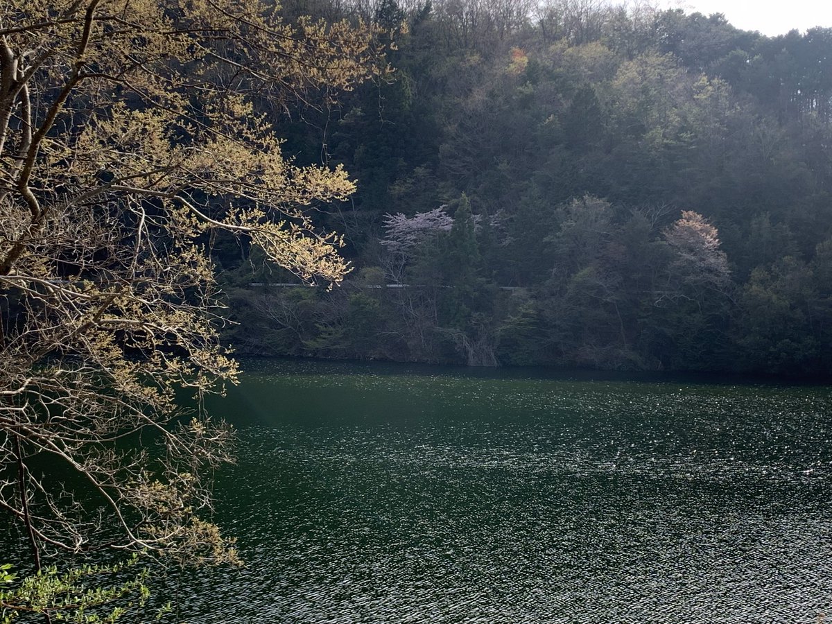 kiku01965's tweet photo. お疲れ様でした！(￣∀￣)鎮龍鎮神社からの帰り道
室生ダム……
この様に、加工してみました！(⌒▽⌒) https://t.co/MYeWtDAqNv