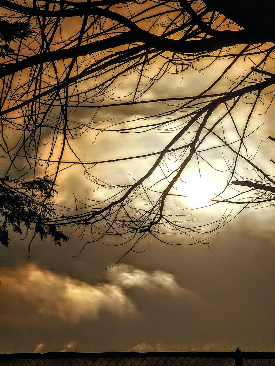 silouets n'light
#photography #cloudwatching #daysend