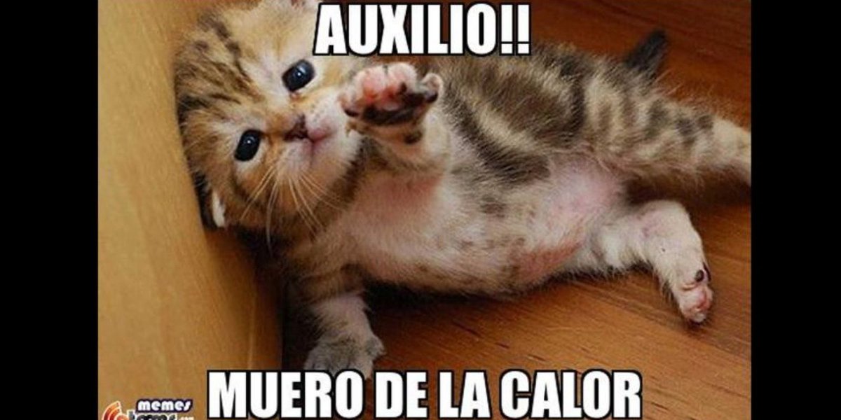 Qtanques's tweet image. Todos esta semana en Maracay