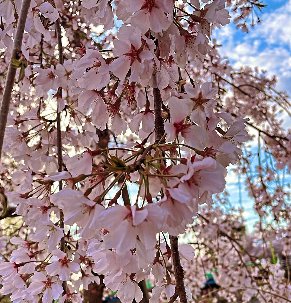 yuna_39_'s tweet photo. 05｜学生｜

友達と外に出るのが好きです
学校のことも呟きながらのんびり

仲良くしてください〜🙌✨

ﾌｧﾎﾞ＆rt＆ﾘﾌﾟ でお迎え行きます☺️

 #日常垢と繋がりたい 
 #日常垢さんと繋がりたい
 #日常垢 https://t.co/Mt0UI4PT55