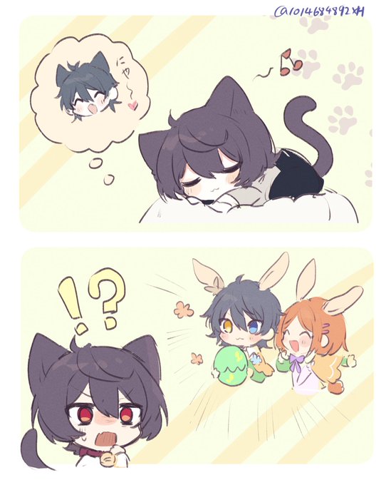 🐈‍⬛…
🐰!? 