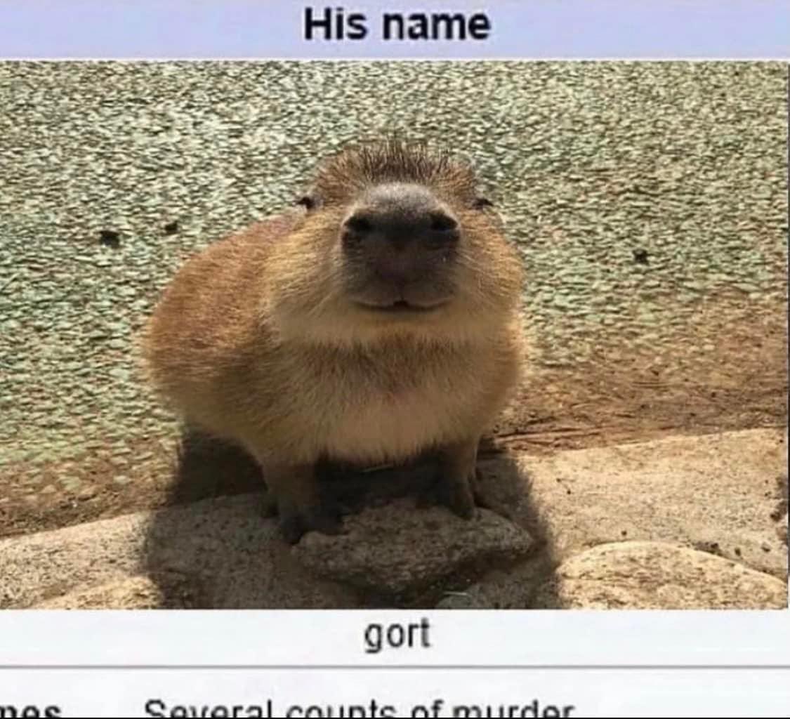 aroaceposiotd's tweet photo. gort thinks all aspec people are amazing and deserve the care and love they need and want!! remember to check up on yourself and see what you need. treat urself with kindness with these times rn!! https://t.co/O8cDOYFz5Z