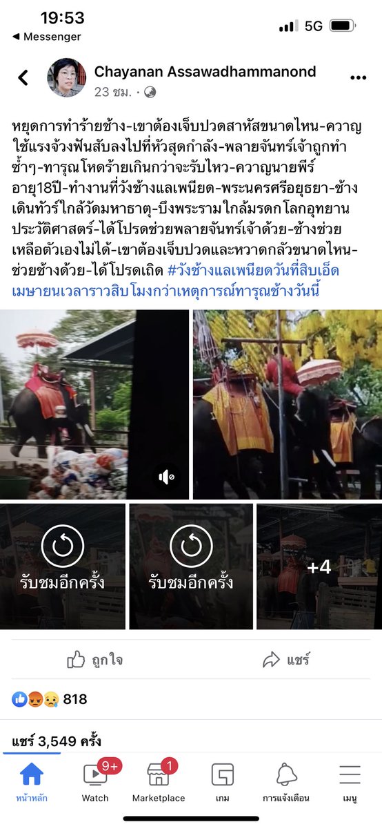 คูมมี๊น้องแท 𐤀 tweet media