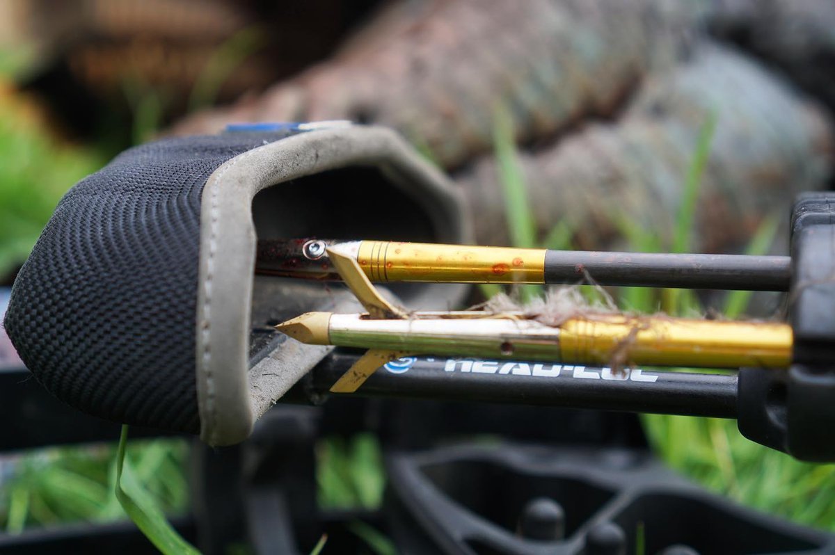 viperarcheryusa's tweet photo. Revolutionary Magnetic Blade Technology holds blades closed until impact, creating massive entry and exit wounds. Sharp blades included for the practice head. Only $44.99 for a pack of 4. 🦌 #SpectreBroadhead #ViperArchery 

#deerhunting #huntingislife #huntinggear #hunting https://t.co/m8cxAgPkqi