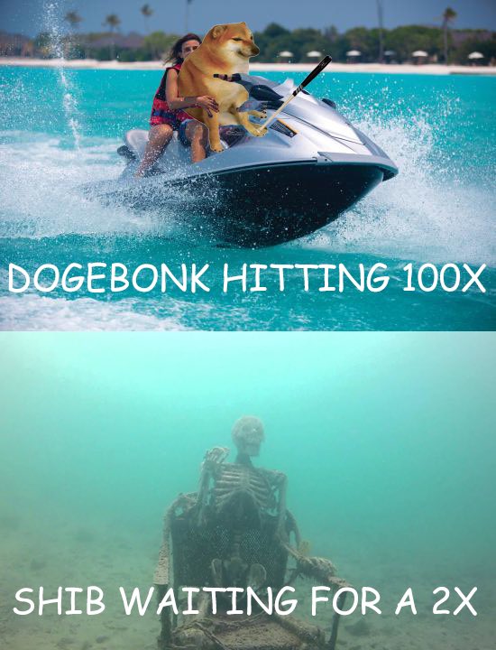 teeteebonk's tweet photo. @_Adammayer DogeBonk $DOBO https://t.co/wNYkifjhZT