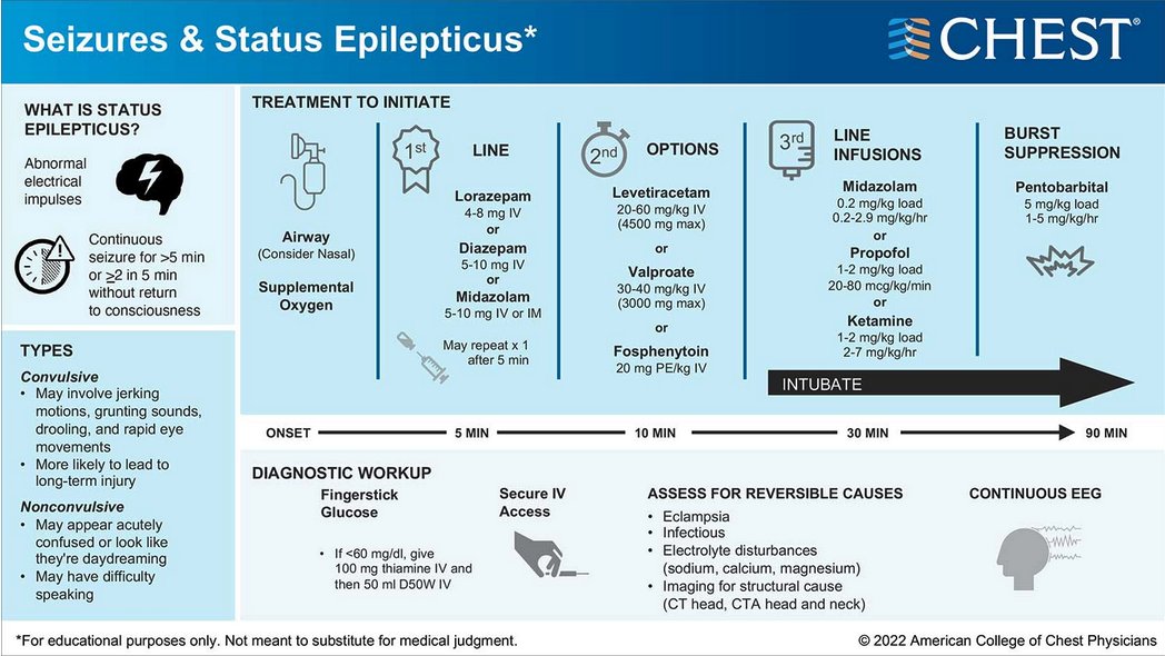Seizures are common in the ICU. It's important to be able to address them promptly and effectively. In this educational #infographic, we review #seizures and status epilepticus, and provide an algorithm to consider when treating this critical condition: hubs.la/Q017NW3w0