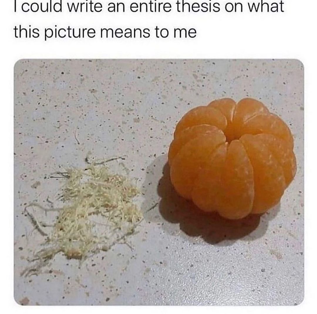 WholesomeMemes tweet media