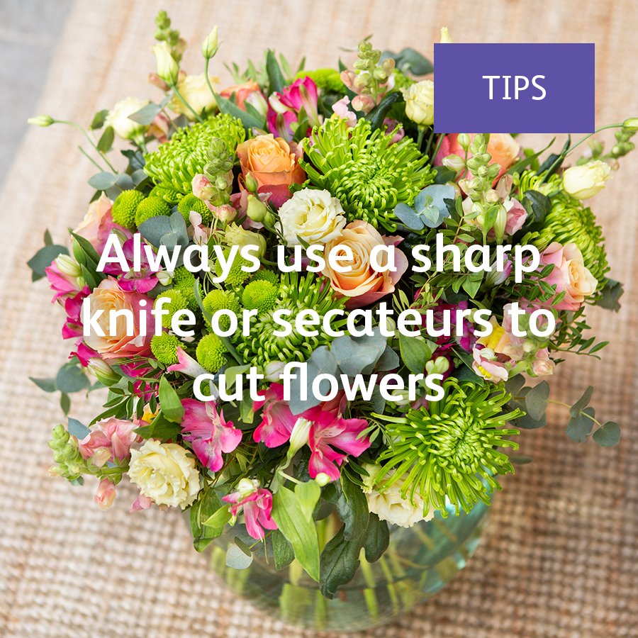 ChrysalInt's tweet image. This way you ensure optimal water AND food uptake!

#Florist #FlowerCare #FlowerTips