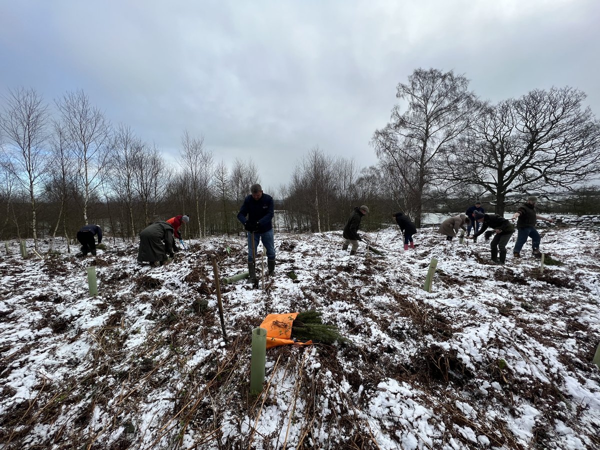 Swinton Estate tweet media