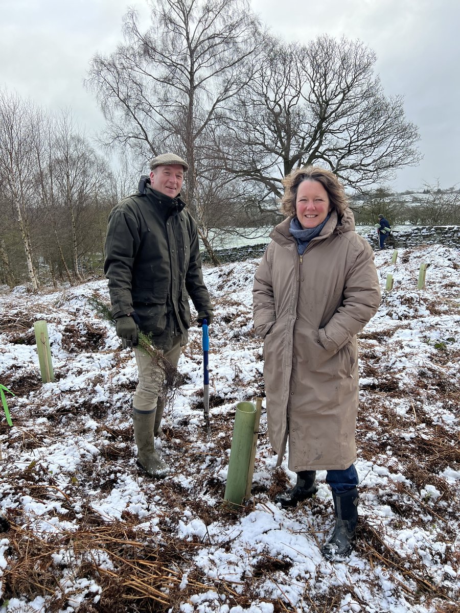 Swinton Estate tweet media