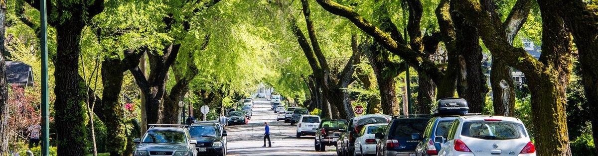 ncurbanforests's tweet photo. #TreeTruth NC urban areas are growing! Protecting & conserving mature trees on development lots and surrounding areas can increase home & property value up to 30%. Share this post and learn more here: https://t.co/cgi70dGtmr https://t.co/e5whKYTP0P
