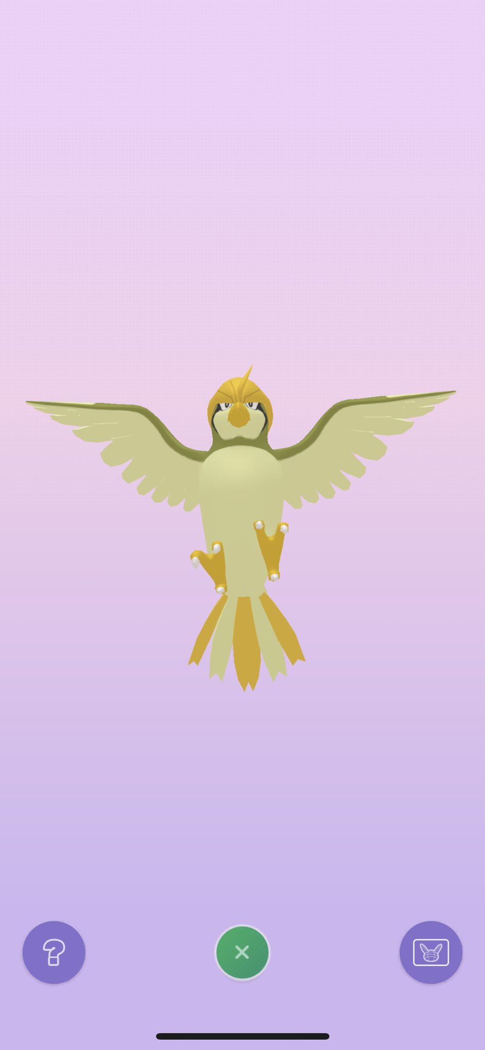イコイ ポケモンgo Home ポケモンhome 色違い図鑑埋めお手伝いありがとうございます ポッポを進化していただいて ピジョンが見れた上にハガネールと交換していただけました ゴールデンかっこいい T Co Sja1zrpknc Twitter