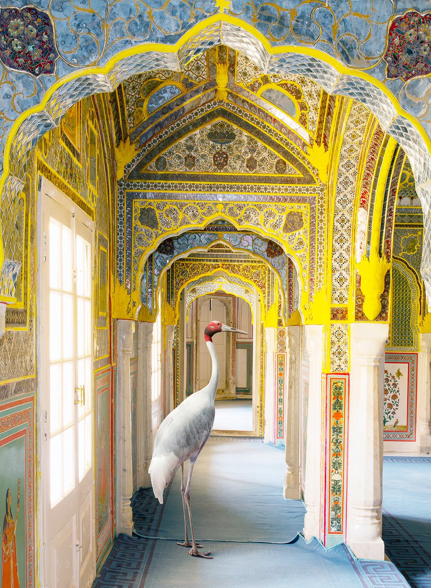 Major solo exhibition by Karen Knorr 'Transmigrations' will open <a href="/SundaramTagore/">Sundaram Tagore</a> Gallery Chelsea in New York on 5 May. 

mailchi.mp/karenknorr/tra…