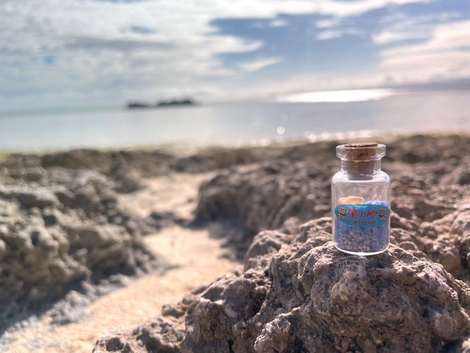 沖縄に行ってきました。 