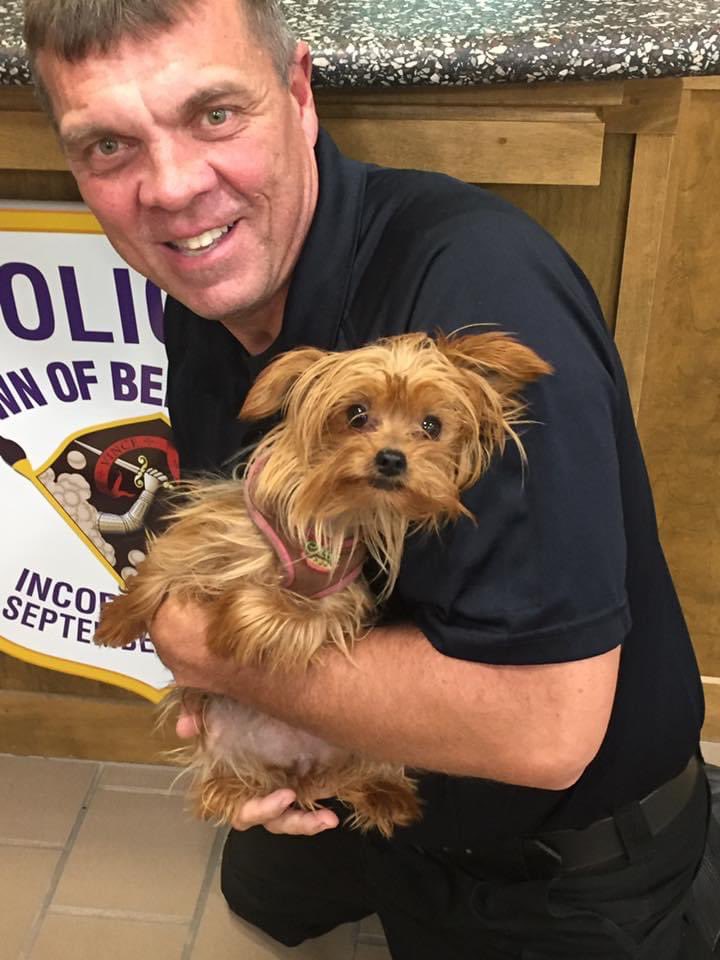 Lexington Police (MA) on Twitter "Happy National Animal Control