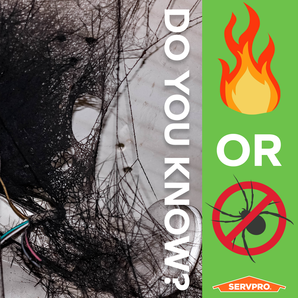 ServproCod's tweet image. Those webs aren&apos;t from spiders, they&apos;re from smoke. 

&quot;Soot webs&quot; form when long chains of ionized soot particles gather in the corners of walls and ceilings.