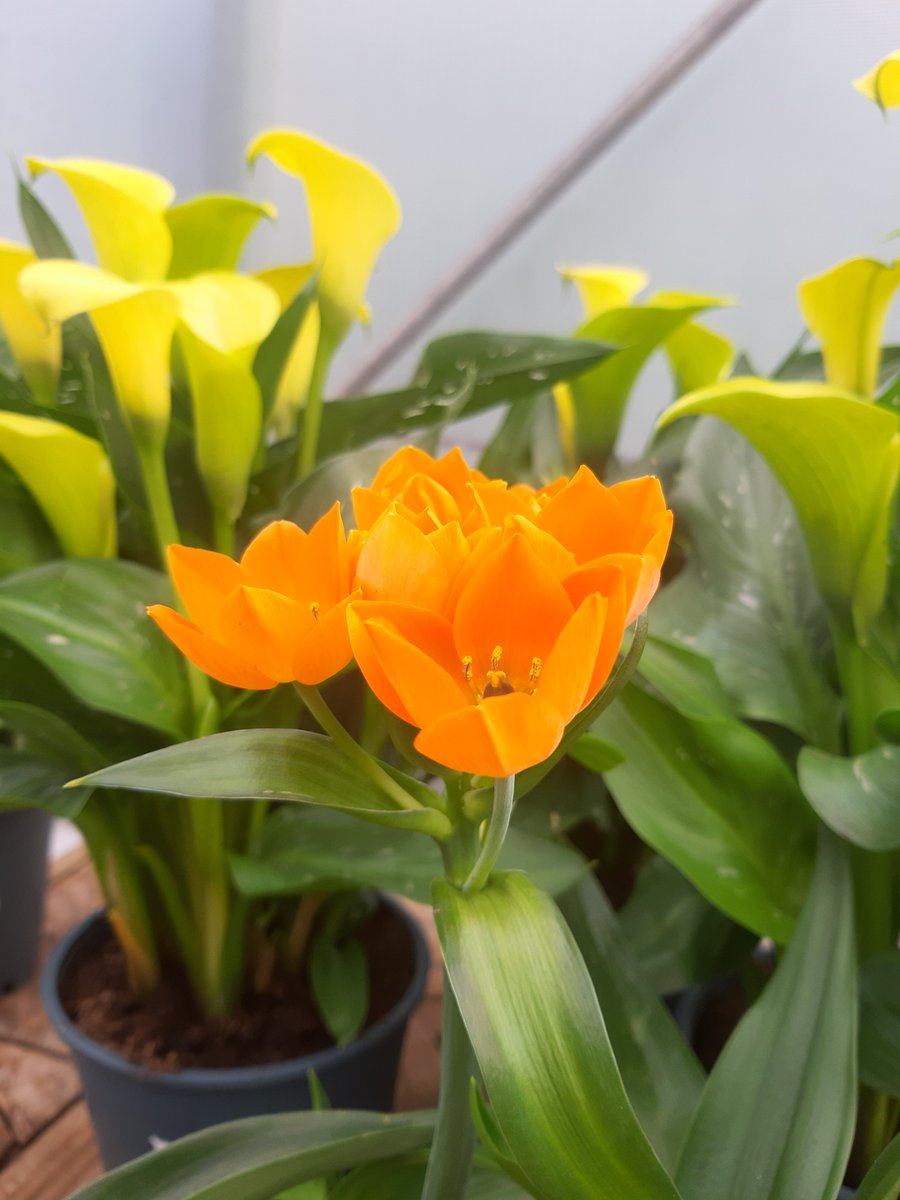 Workbridge tweet media