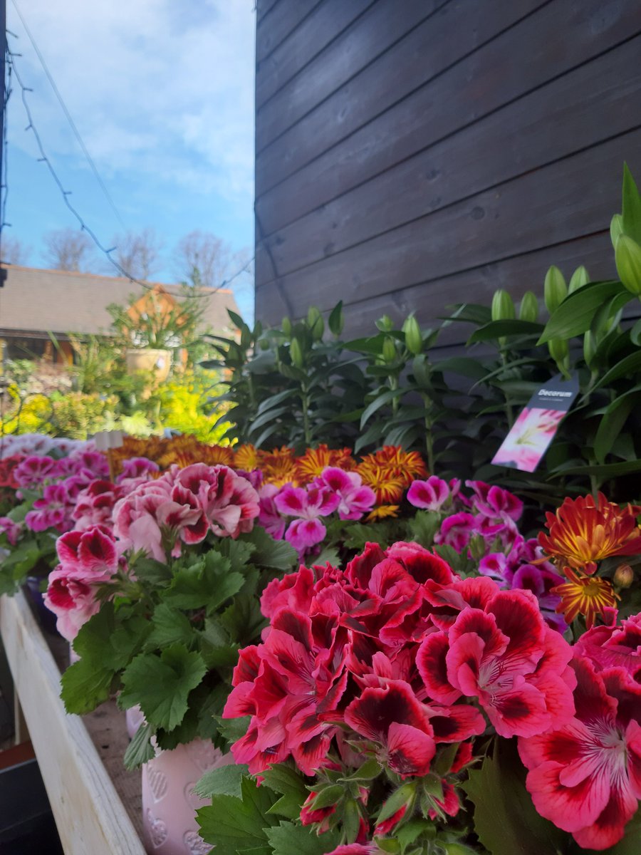 Workbridge tweet media