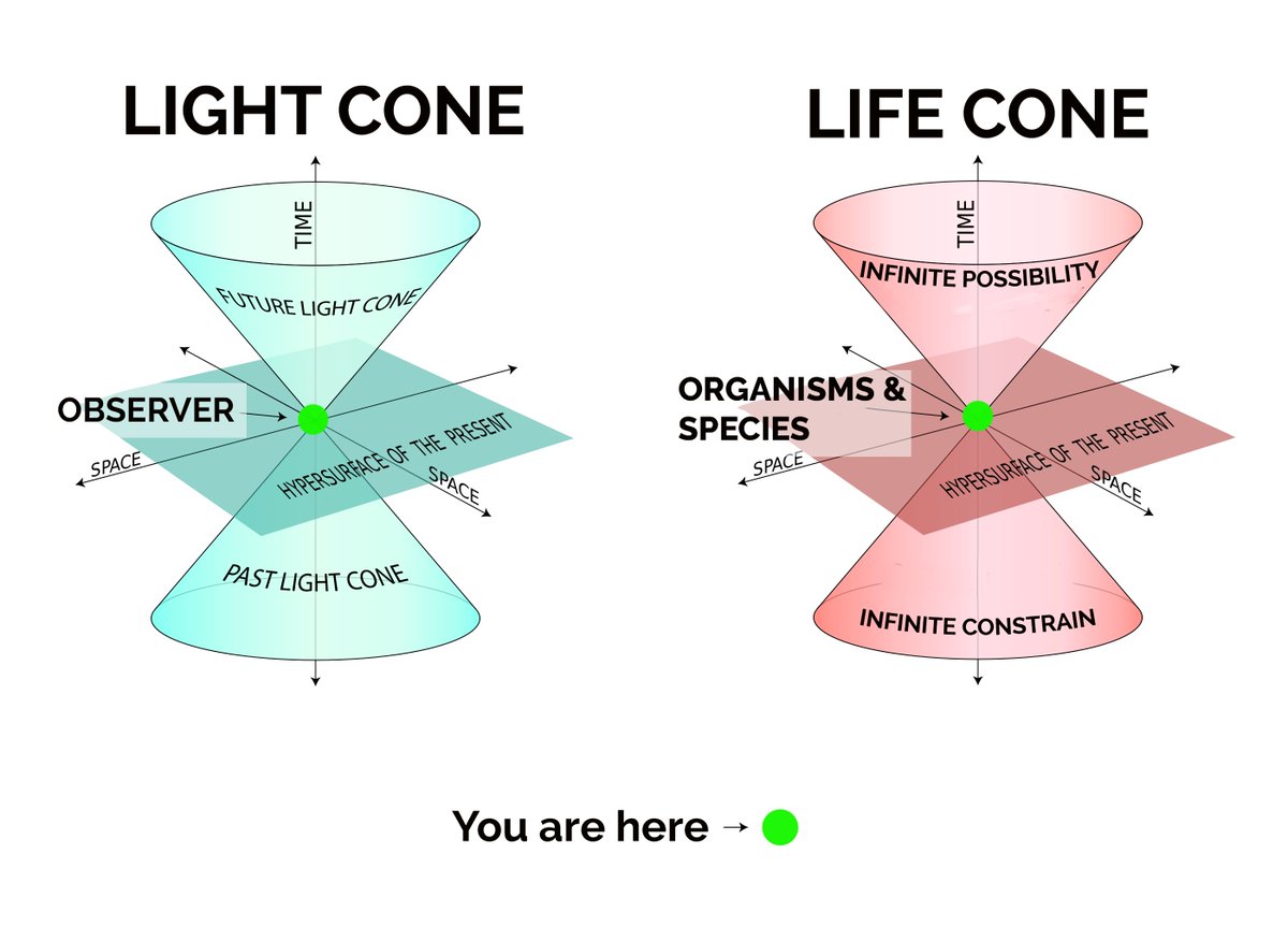 eedobarganes's tweet photo. @MattPirkowski Ok... this statement is very equivalent to the #LightCones from Roger Penrose and #LifeCones seem like a very useful thinking tool for both #CogSci and #EvolutionaryBiology.
WDYT ?
cc: @HeatherEHeying @BretWeinstein @ericweinstein @henriqgx @jgreenhall @vervaeke_john https://t.co/MHci3YuhVp
