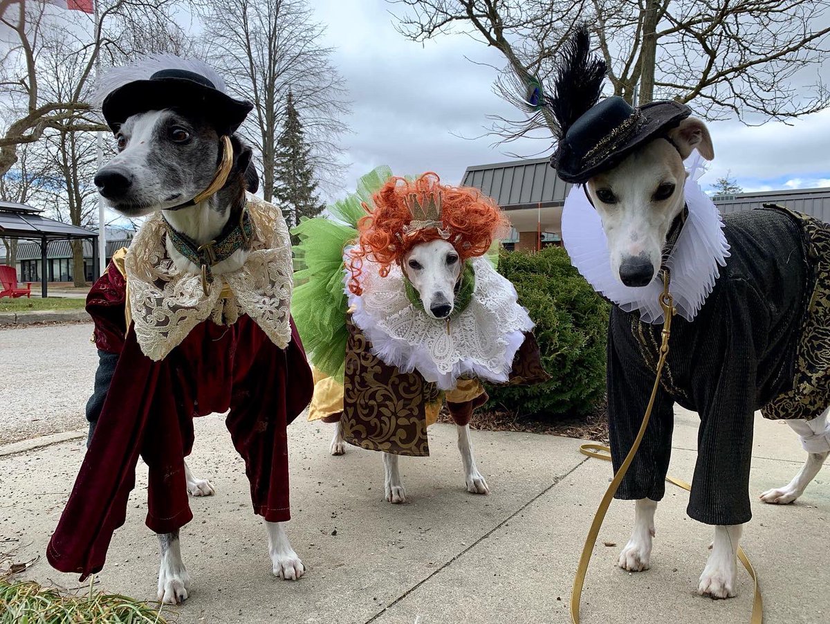 How far that little candle throws its beams! So shines a good deed in a naughty# world.