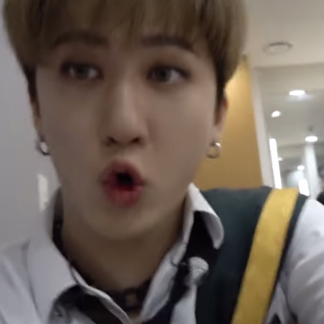 🐖🐰 (@tiny__bini) on Twitter photo 