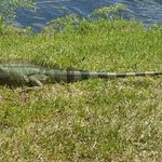 Photo by Project Incursus (@ProjectIncursus)