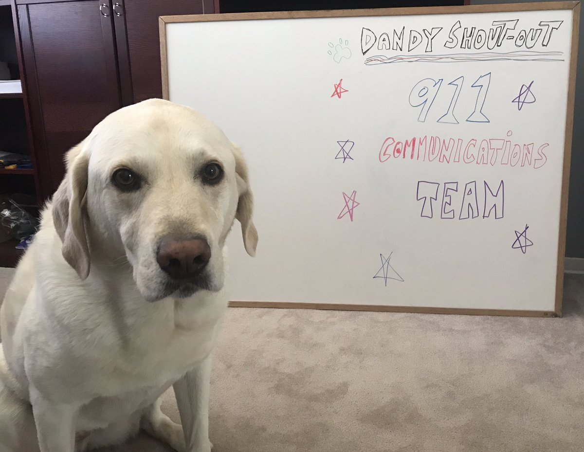 RomanandDandy's tweet photo. Dandy shout out to all the TPS 911 Communications team for National Public Safety Telecommunicators Week! Thank you for all you do! ……and we hope to see you soon! #dogsofinstagram #traumadogs #poweredbyroyalcanin @comm911tps https://t.co/60S3PpJqFT