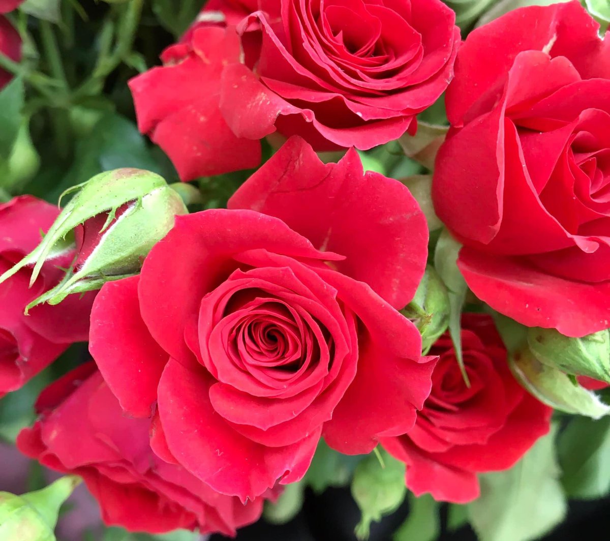 Ferhat U tweet media