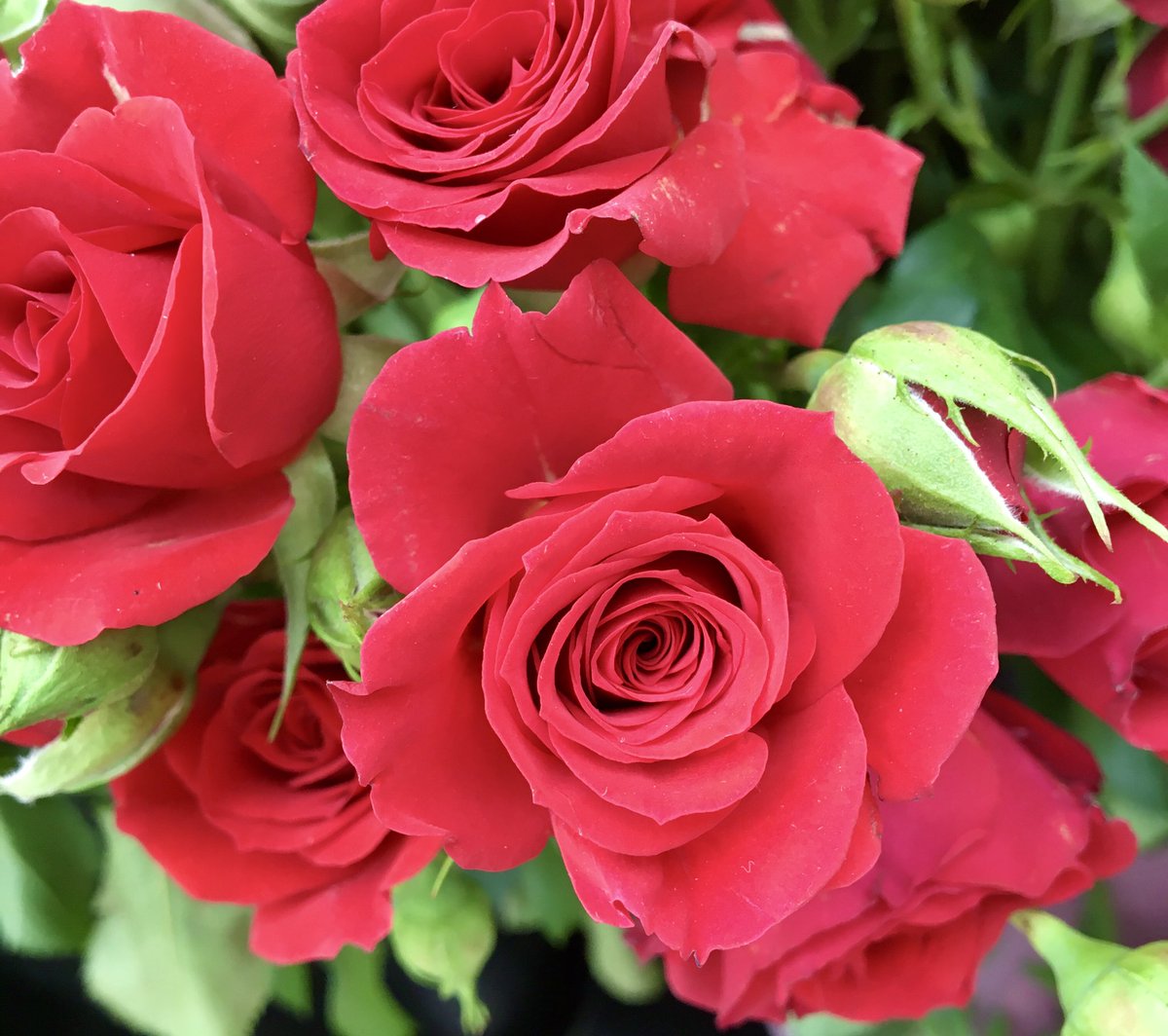 Ferhat U tweet media