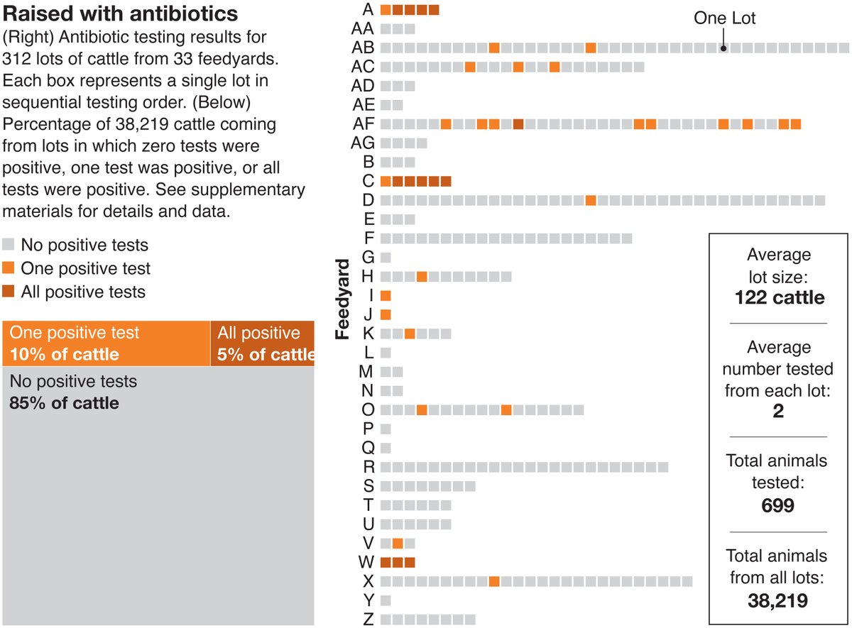 ScienceMagazine's tweet photo. A new #SciencePolicyForum argues that “raised without antibiotics” (RWA) labeling on consumer meat labels is not always accurate. The findings underscore the need for #Policy reform to ensure the integrity of RWA labeling claims. https://t.co/RKH65wSVEj #Agriculture https://t.co/L0p6iLdkKx