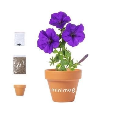 Spring is in full bloom! We have a great collection of plant themed products for the eco-conscious consumer, that can be branded with your company logo… 
lght.ly/cfehi22
#promotionalplants #printedgifts #promotionalproductideas #printedpots #personalisedgifts #lovepromo