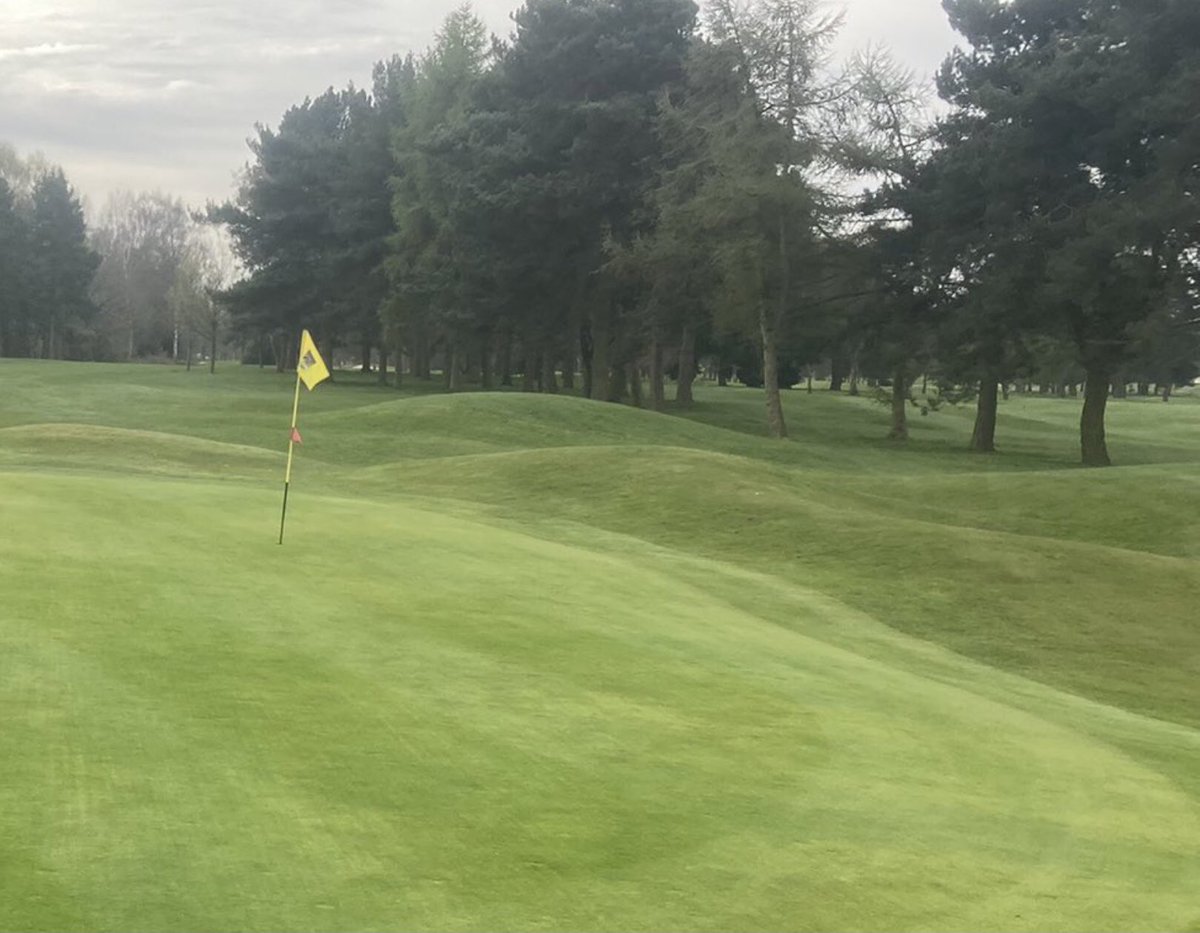 BallsGolf's tweet photo. Alternatives to sand bunkers.
1  Don’t flood
2 Don’t need replacement sand (£$)
3 Don’t waste valuable Greenkeepers time
4 Still punitive if you end up there https://t.co/jHisLlPnOp