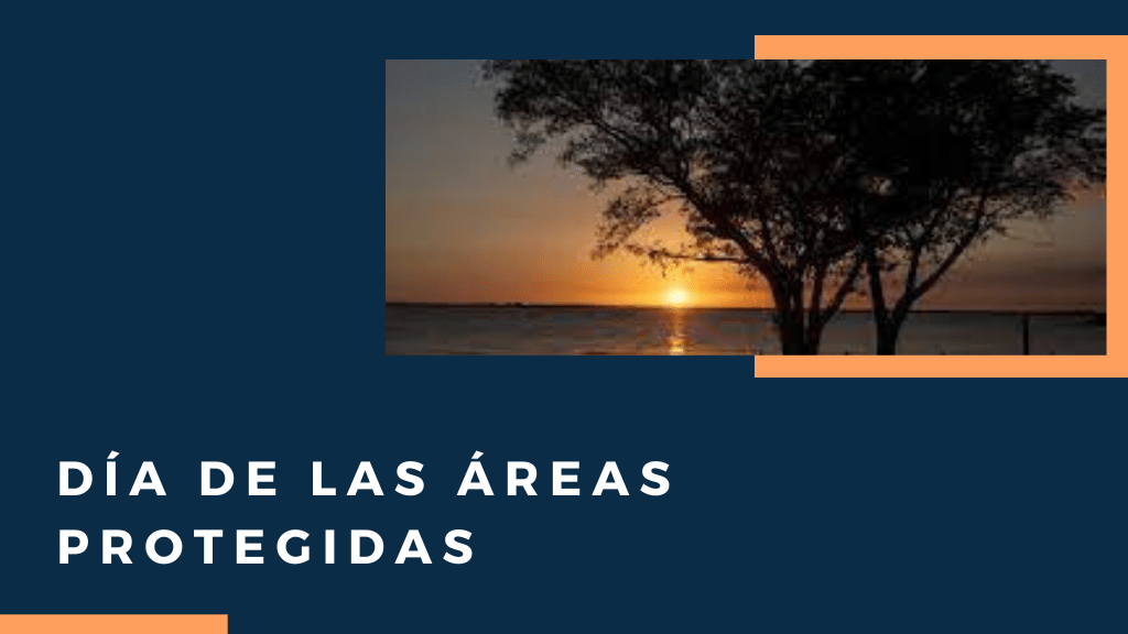 Al celebrarse hoy el día de las Áreas Protegidas en #Cuba 🇨🇺, nuestro equipo avanza en el desarrollo y consolidación de instrumentos para la conservación de esos espacios que albergan gran #diversidadbiológica #bienestarhumano #desarrollosostenible @PNUDCUBA <a href="/theGEF/">Global Environment Facility (GEF)</a> <a href="/cnap_snap/">Centro Nacional de Áreas Protegidas</a>