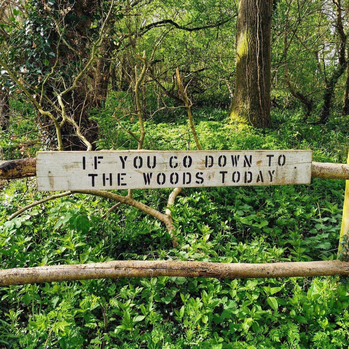 We Are Aware tweet media