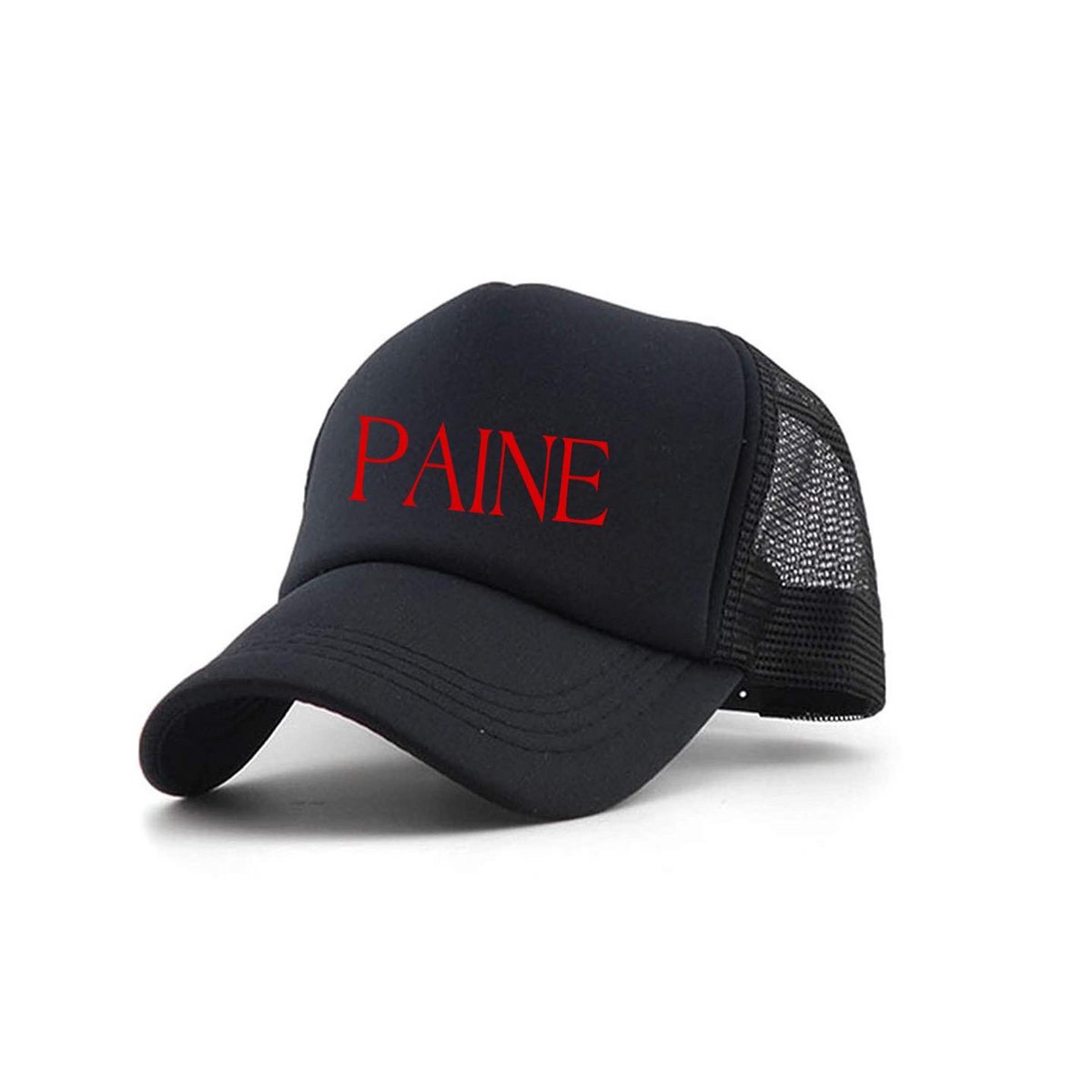 PAINE tweet media