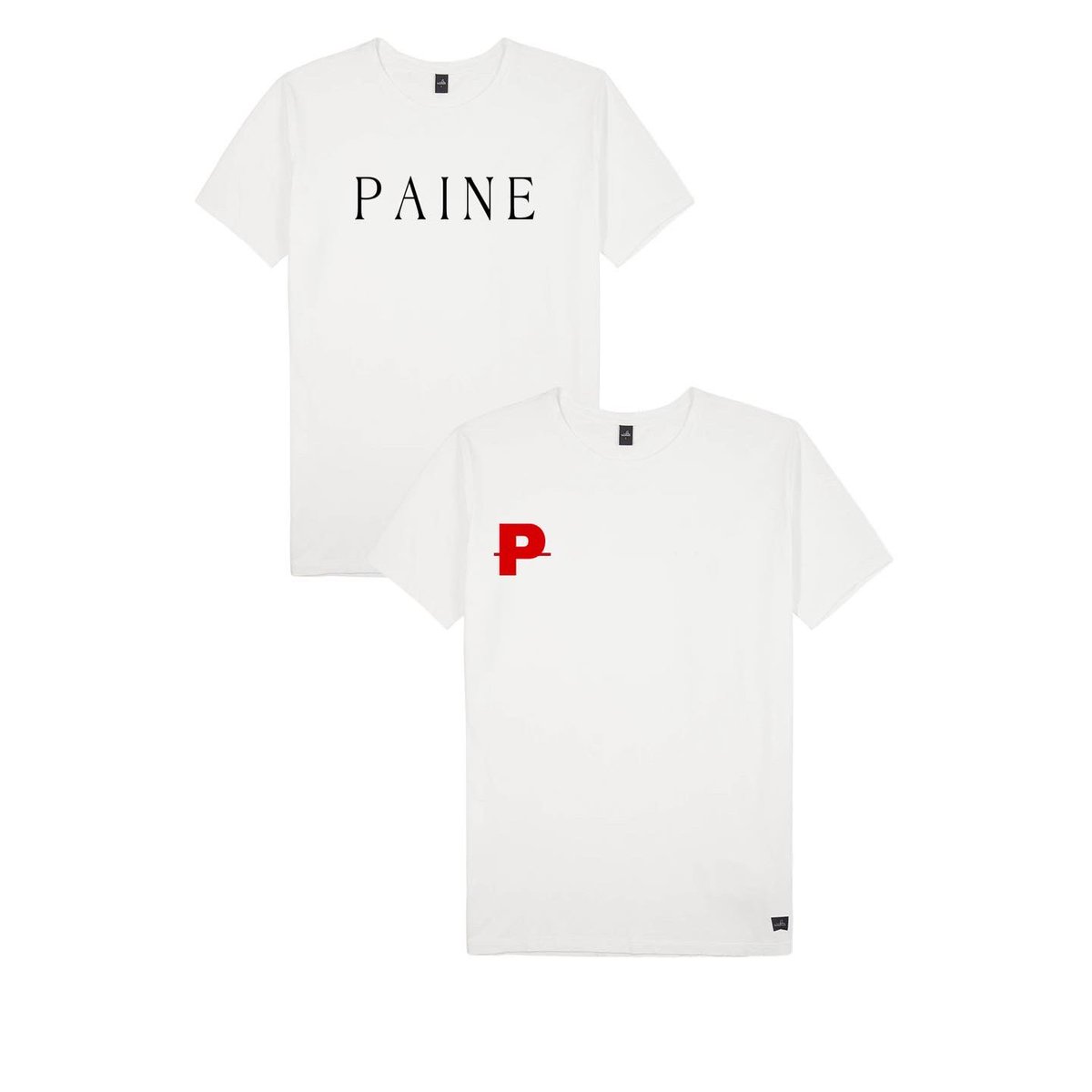 PAINE tweet media