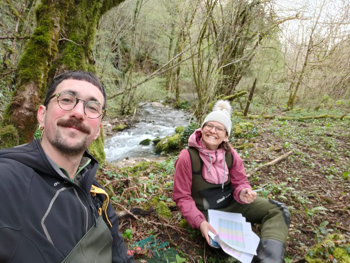 Silverthorn_T's tweet photo. Successful 2nd field campaign for @invasorian with @r_sarremejane in France! This time we moved the riparian zone incubated leaf bags into the streams along with their un-incubated counterparts! Did any other team find the the Ailanthus leaves were already fully decomposed?! 🍂 https://t.co/JqIPseQSh1