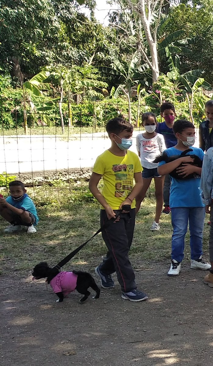 BoschTroadio's tweet photo. Se realiza actividad de encuentro de mascotas de los pioneros del Centro Escolar Troadio Bosch, Amando la naturaleza
#SomosCuba 
#SomosContinuidad 
#EducaJM https://t.co/4Byu5xZQ9g
